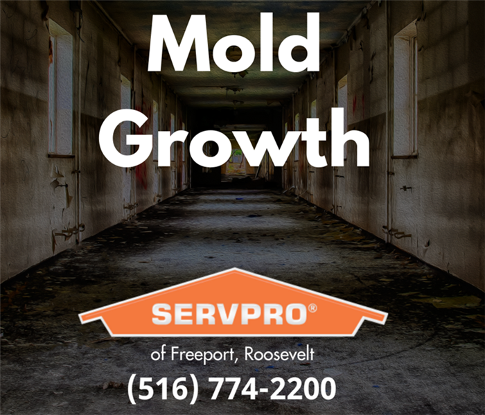 mold growth servpro commercial