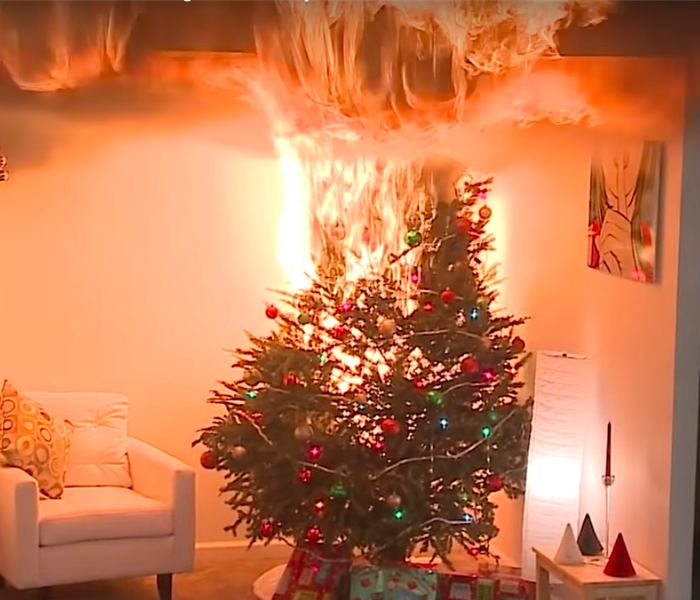 tree on fire