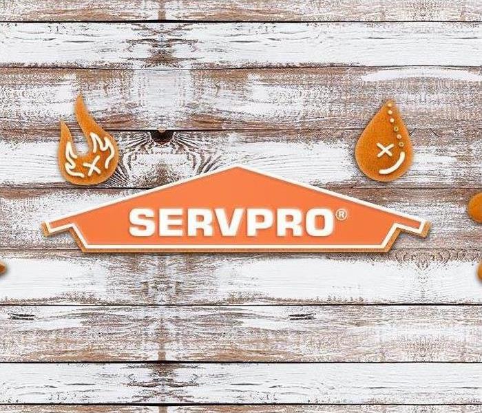 servpro logo winter style