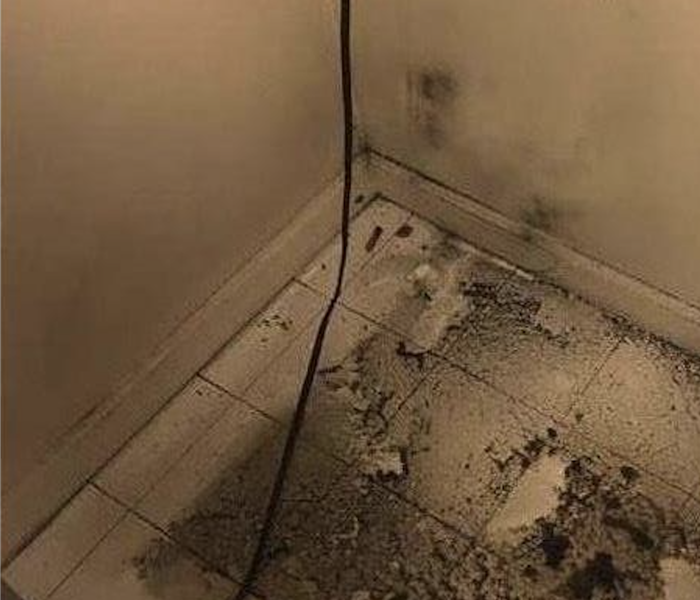 mold in bathroom
